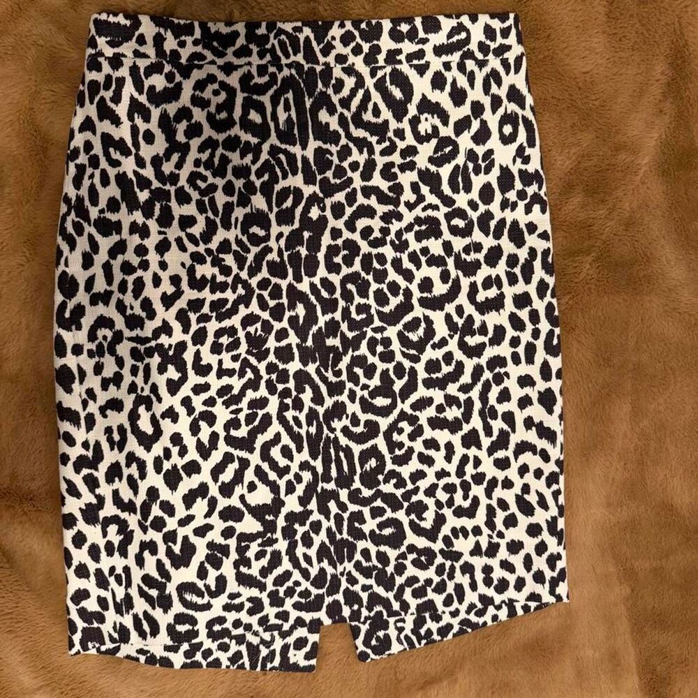 Jcrew Women's multi Skirt